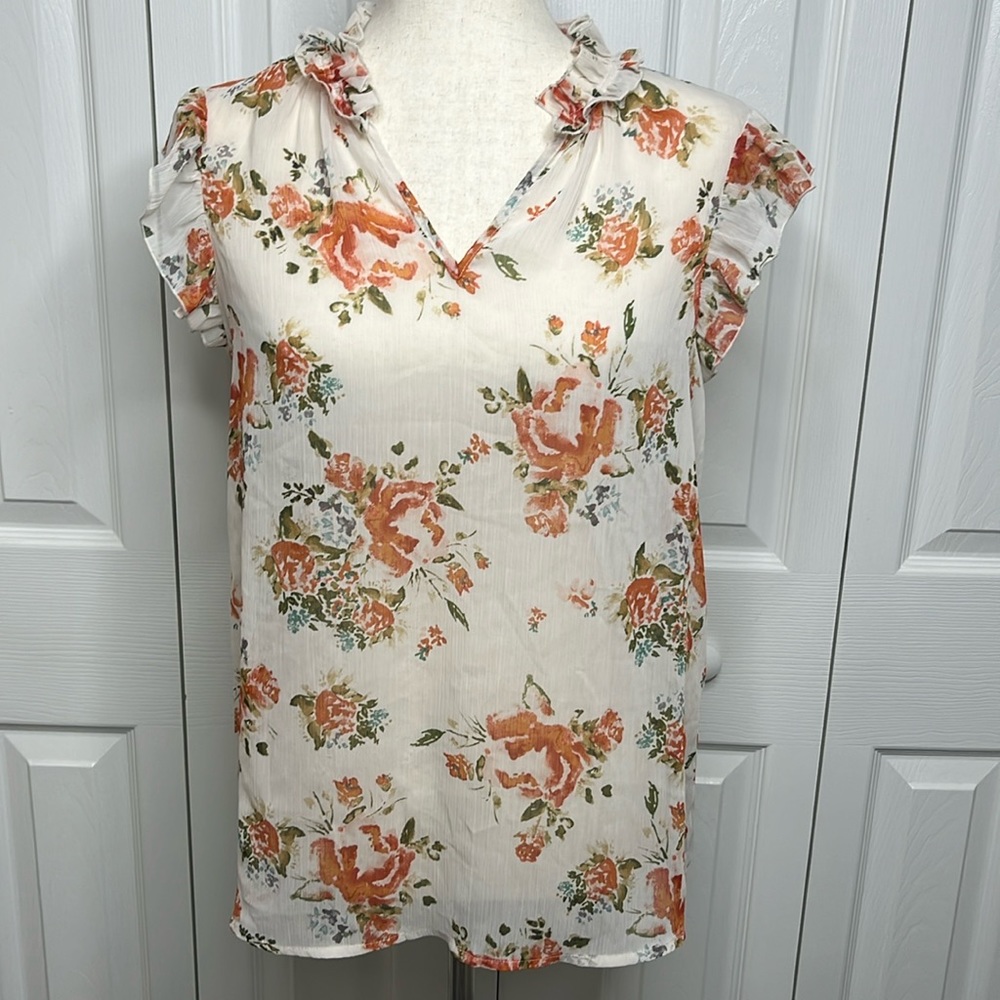 Massimo Sheer Blouse